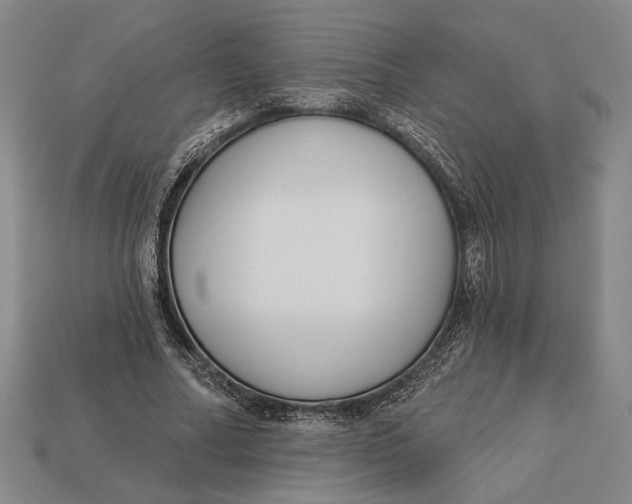 X0000112890682200909111504