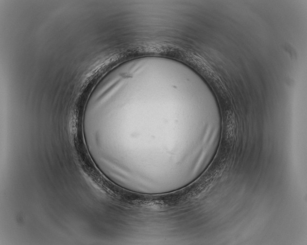 X0000112890683200909111504