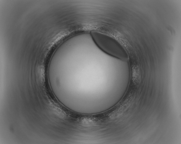 X0000112890684200909111504
