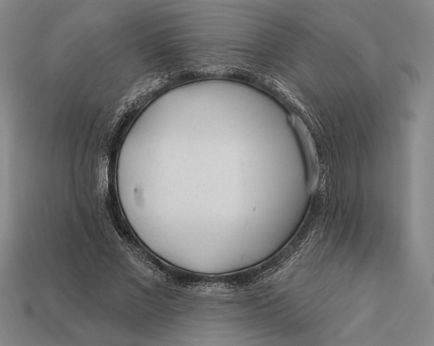 X0000112890685200909111504