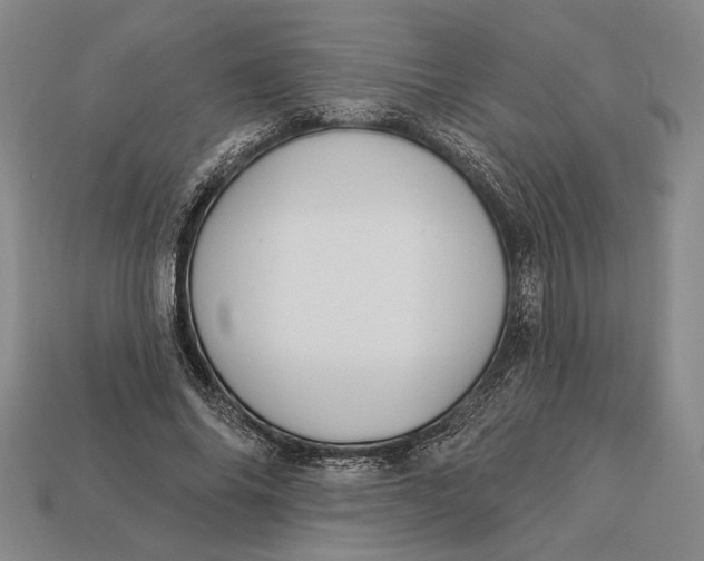 X0000112890686200909111504