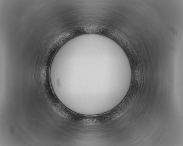 X0000112890690200909111504