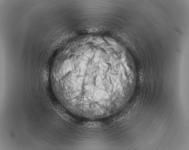 X0000112890691200909111504