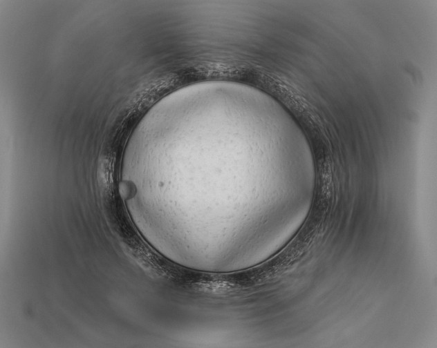 X0000112890695200909111504