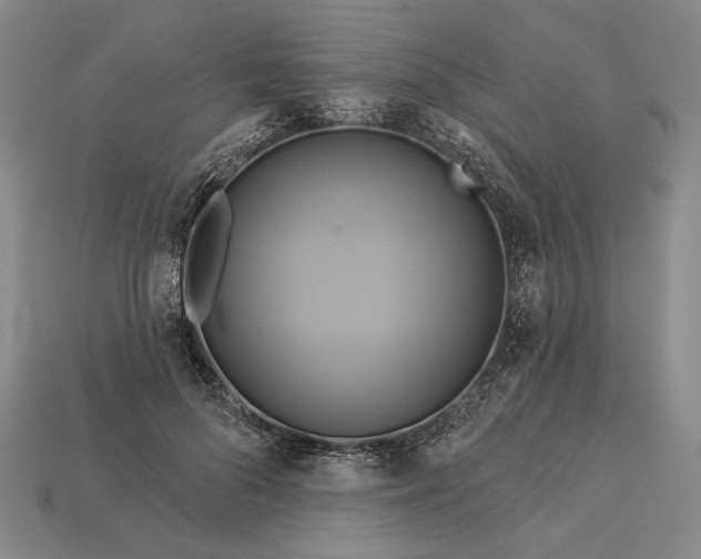 X0000112890696200909111504