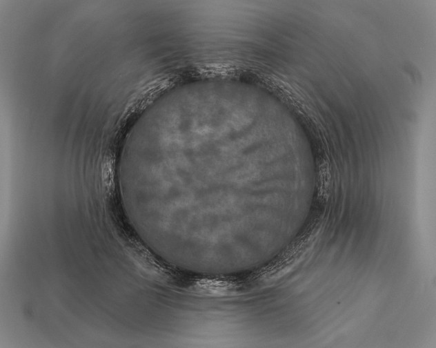 X0000112890699200909111504