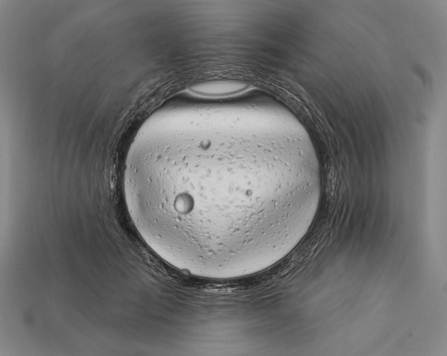 X0000112890701200909111504