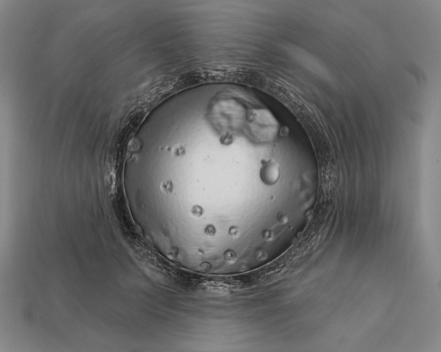 X0000112890703200909111504
