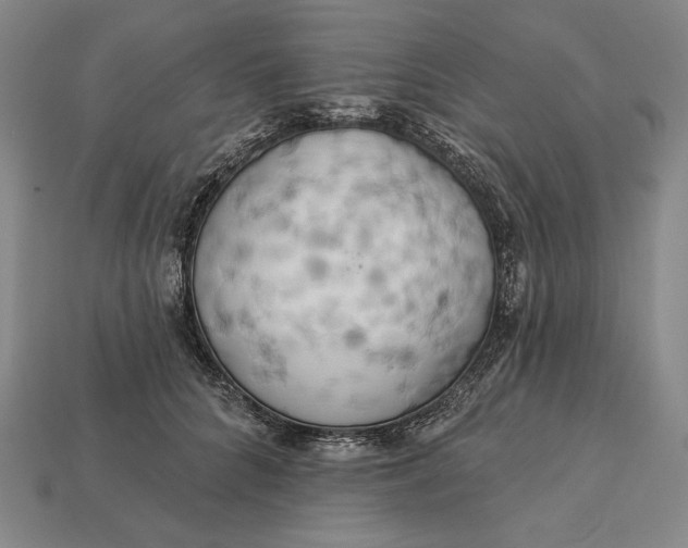 X0000112890704200909111504