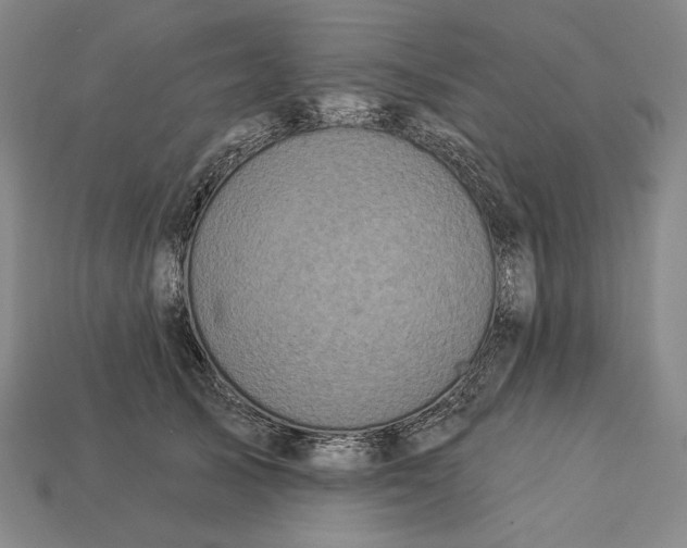 X0000112890705200909111504