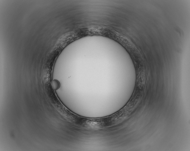 X0000112890706200909111504
