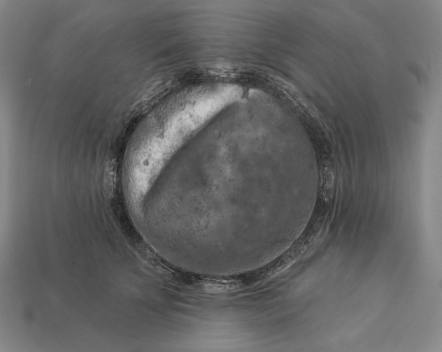 X0000112890707200909111504