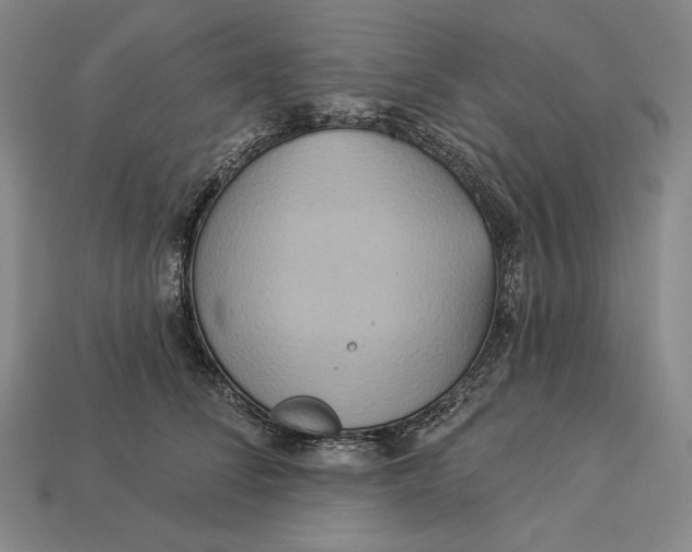 X0000112890708200909111504