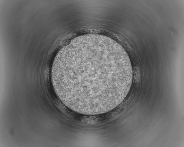 X0000112890713200909111504