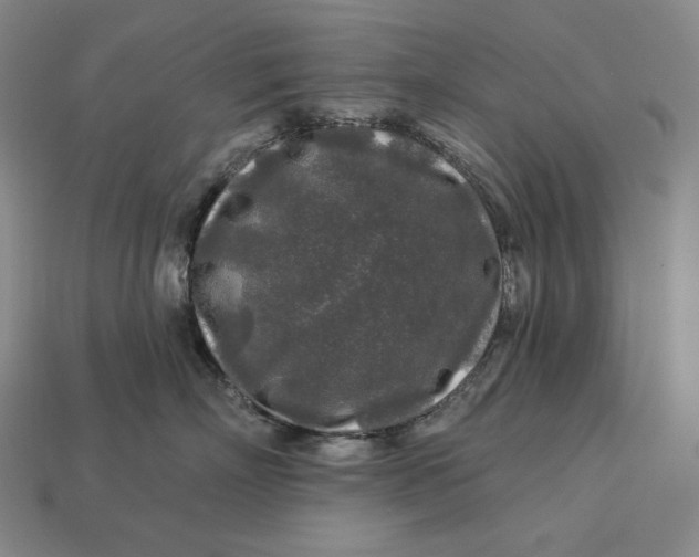 X0000112890718200909111504