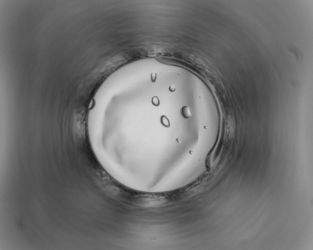 X0000112890719200909111504