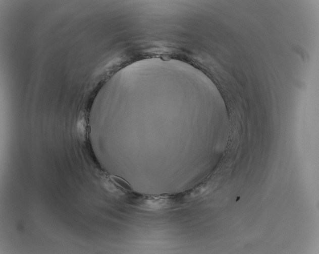 X0000112890720200909111504