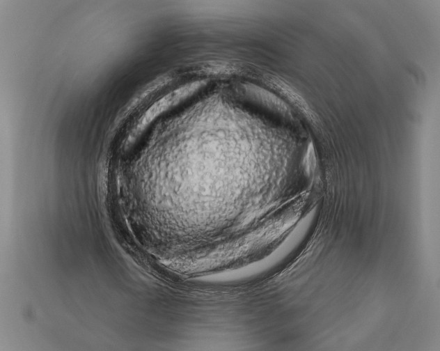 X0000112890722200909111503