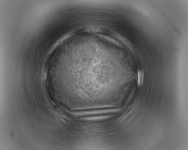X0000112890723200909111503