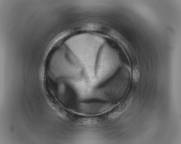 X0000112890724200909111503