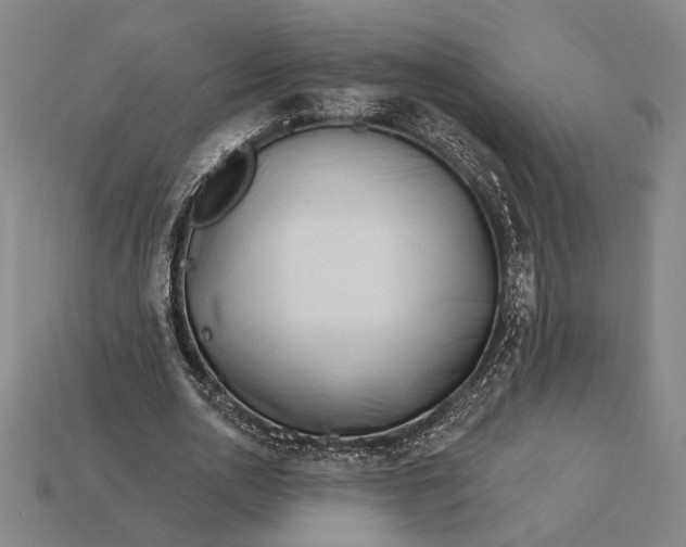 X0000112890726200909111503