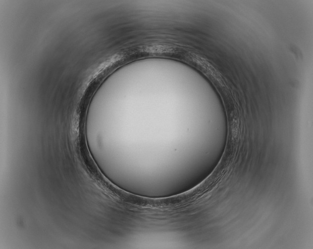 X0000112890727200909111503