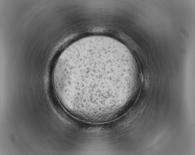 X0000112890728200909111503
