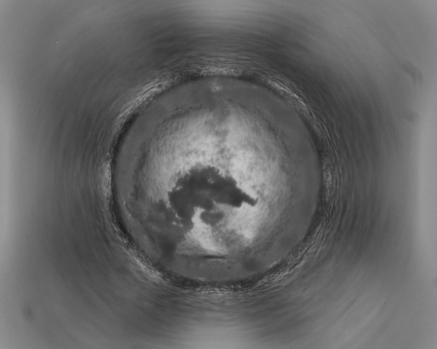 X0000112890729200909111503
