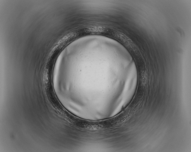 X0000112890731200909111503