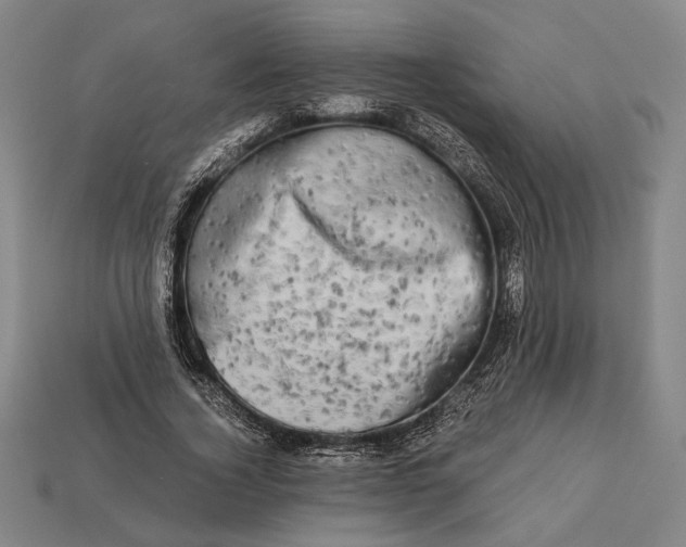 X0000112890732200909111503