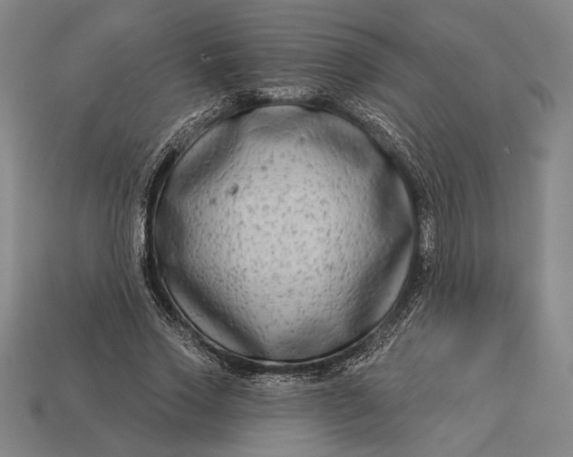 X0000112890733200909111503