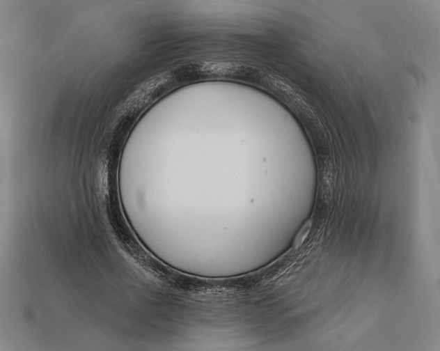 X0000112890734200909111503