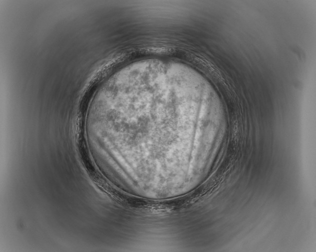 X0000112890736200909111503