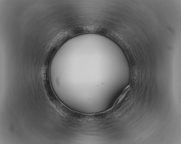 X0000112890738200909111503