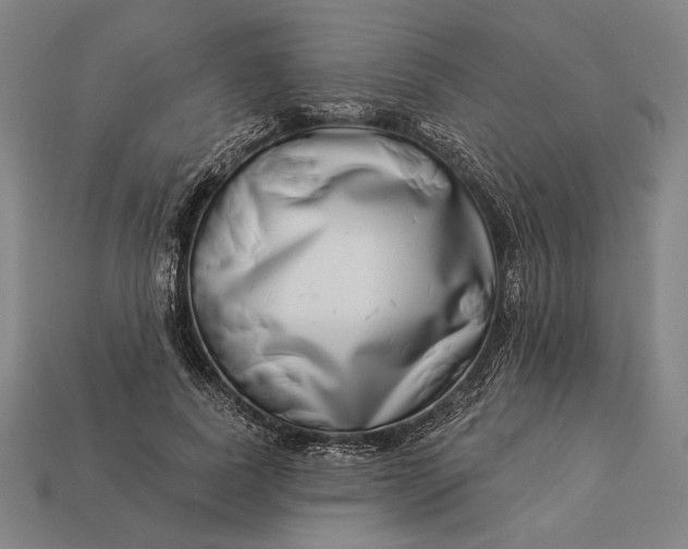 X0000112890739200909111503