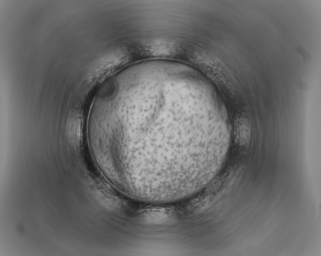 X0000112890740200909111503