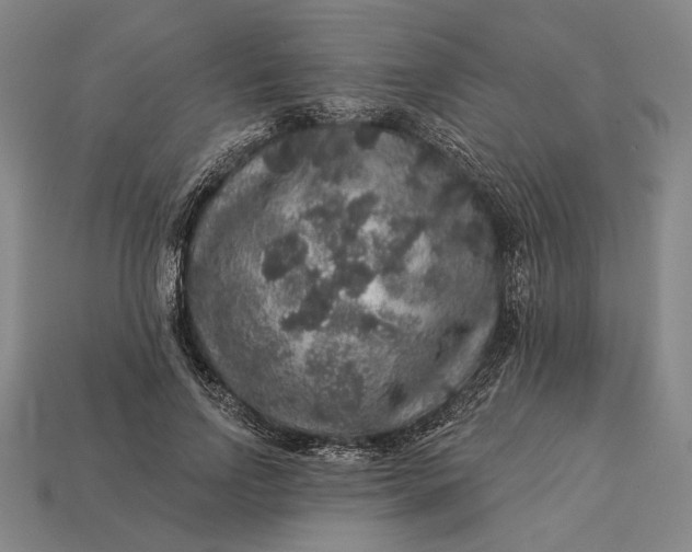 X0000112890742200909111503