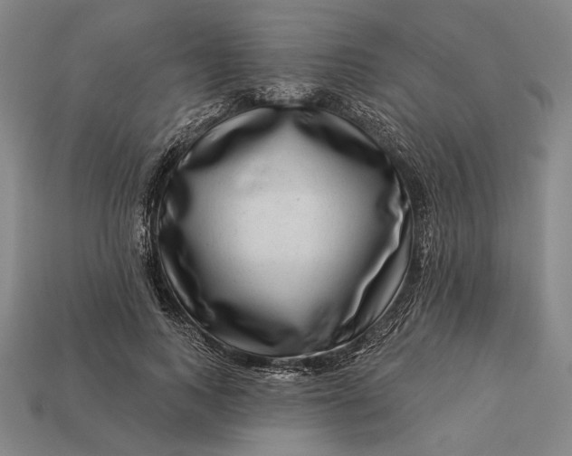 X0000112890743200909111503