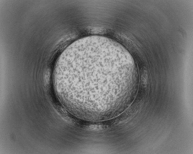 X0000112890744200909111503