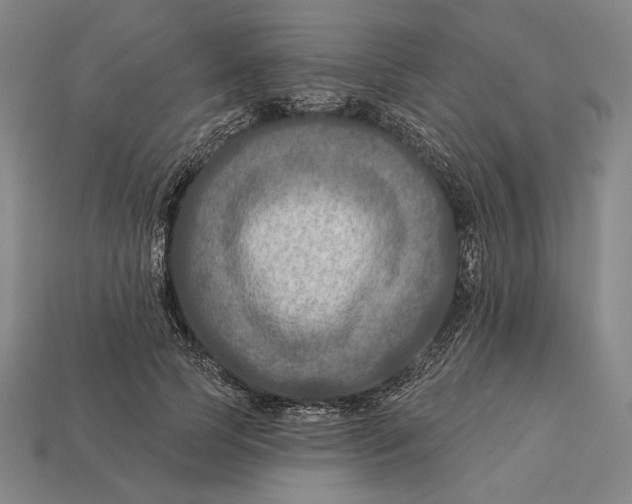 X0000112890745200909111503