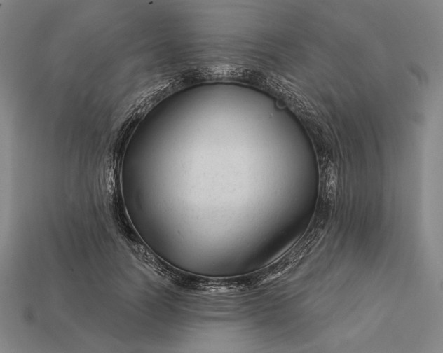 X0000112890746200909111503