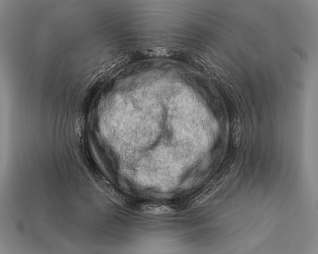 X0000112890747200909111503