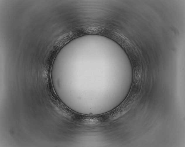 X0000112890749200909111503