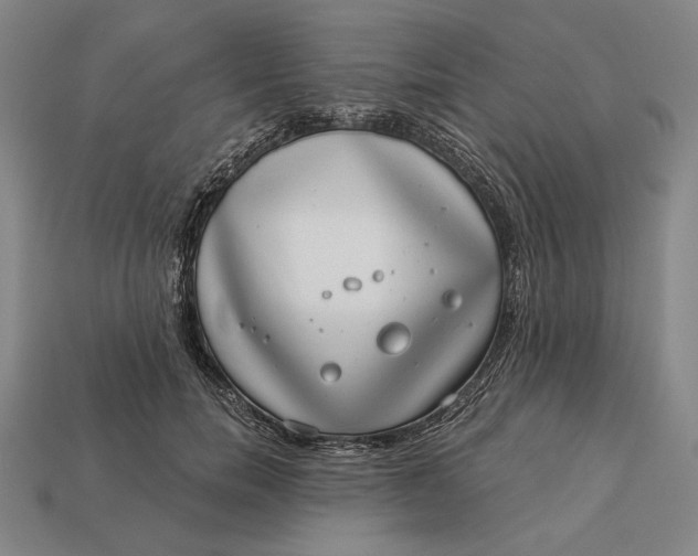 X0000112890750200909111504