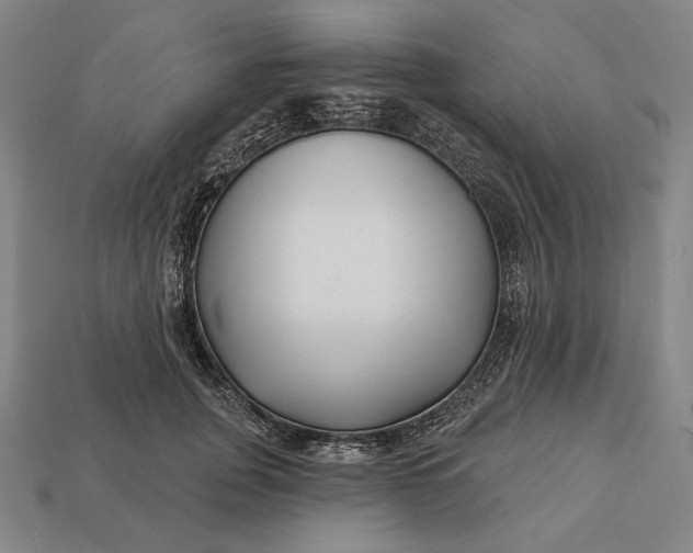 X0000112890751200909111504