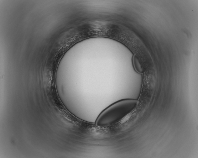 X0000112890752200909111504