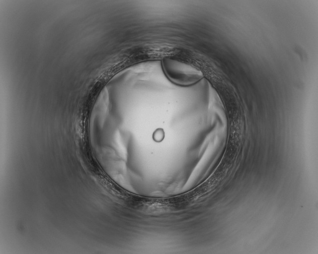 X0000112890755200909111504