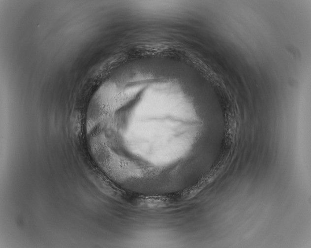 X0000112890758200909111504
