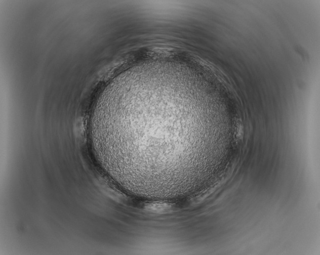 X0000112890759200909111504