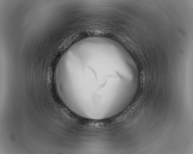 X0000112890760200909111504